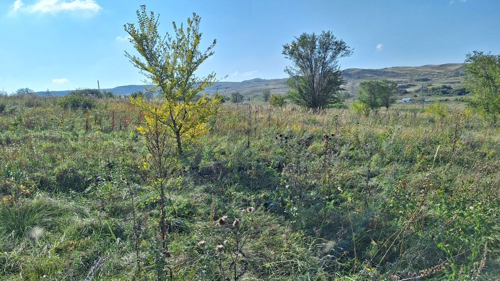 Продам участок на КШТ 13сот