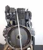 Motor complet DAF WS 242L-Piese de motor