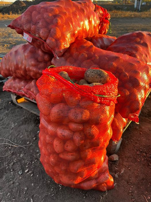 Продам картошку, сорт Гала