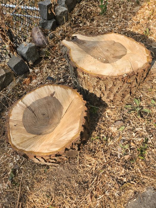 Орехови шайби дебели