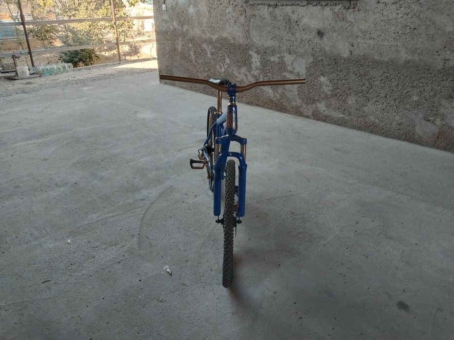 Велик под проэкт