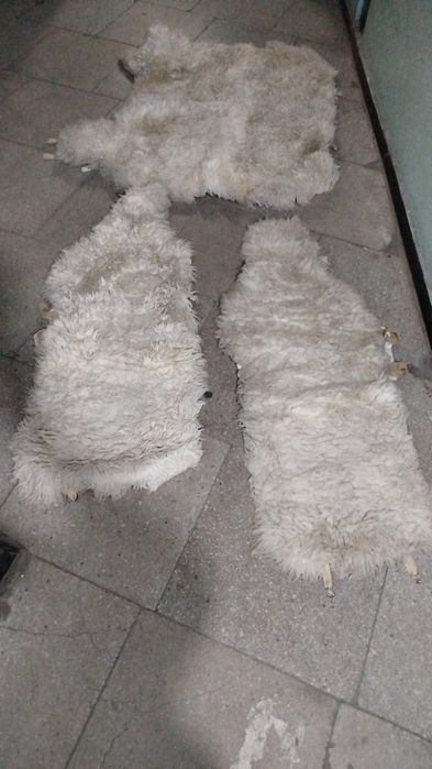 Чехлы из натуральной овечьей шкуры