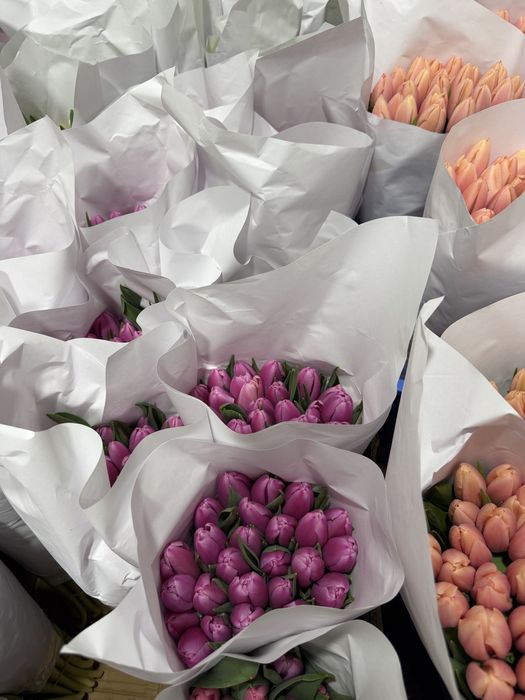 Lolo Тюльпаны оптом