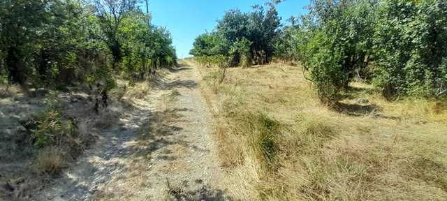 Продава се Парцел в с. Житница, Област Варна - 1930 кв.м за 3 €/кв.м - Снимка #3