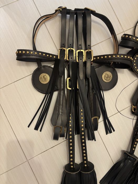 Hamuri cai. Capastru cal