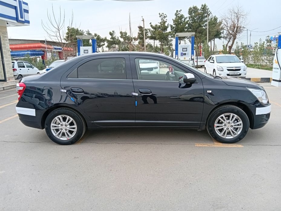 Other Cobalt 2023 — 7