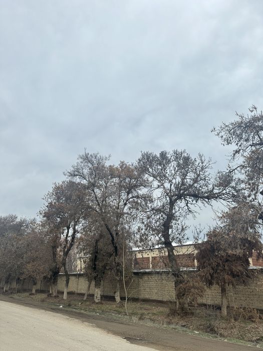 Продается Земля Янги Узбекистон