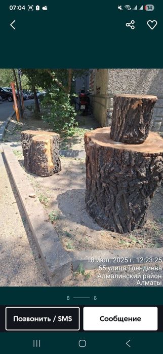 Продам пеньки карагача