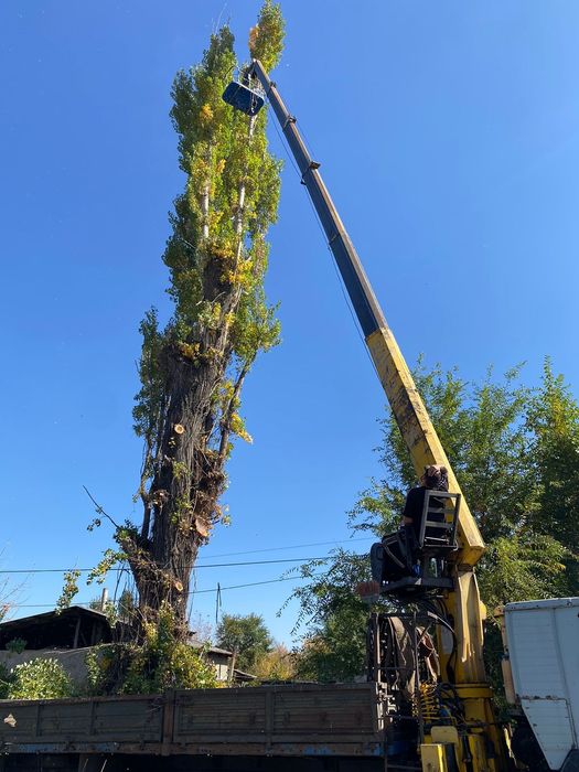 Услуги Манипулятора