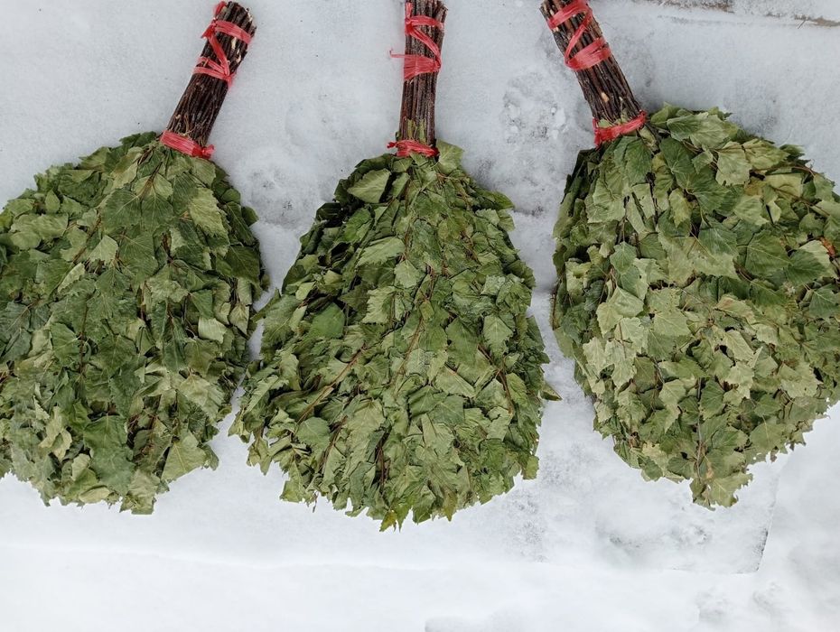 Продам берёзовые веники.