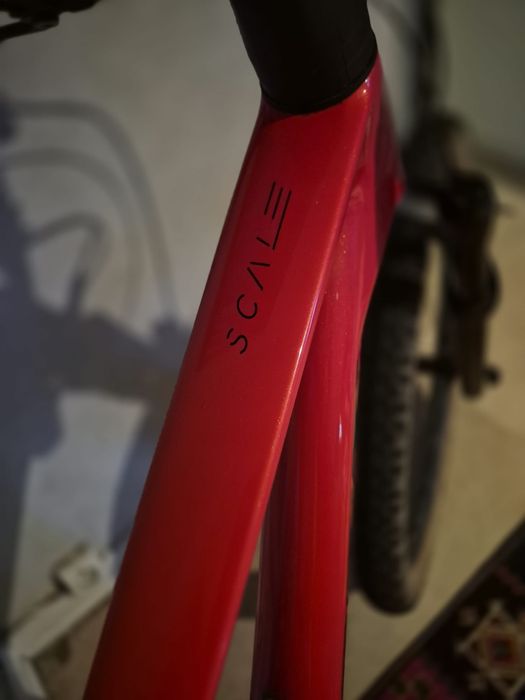 Bicicleta carbon 29