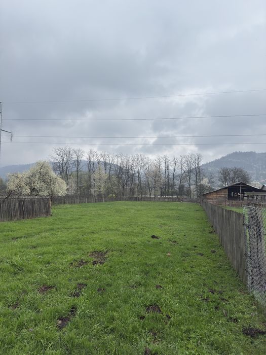 Teren Triaj Darmanesti