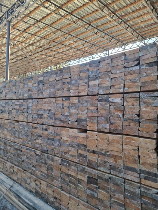 Sasna taxtalar optom va donaga