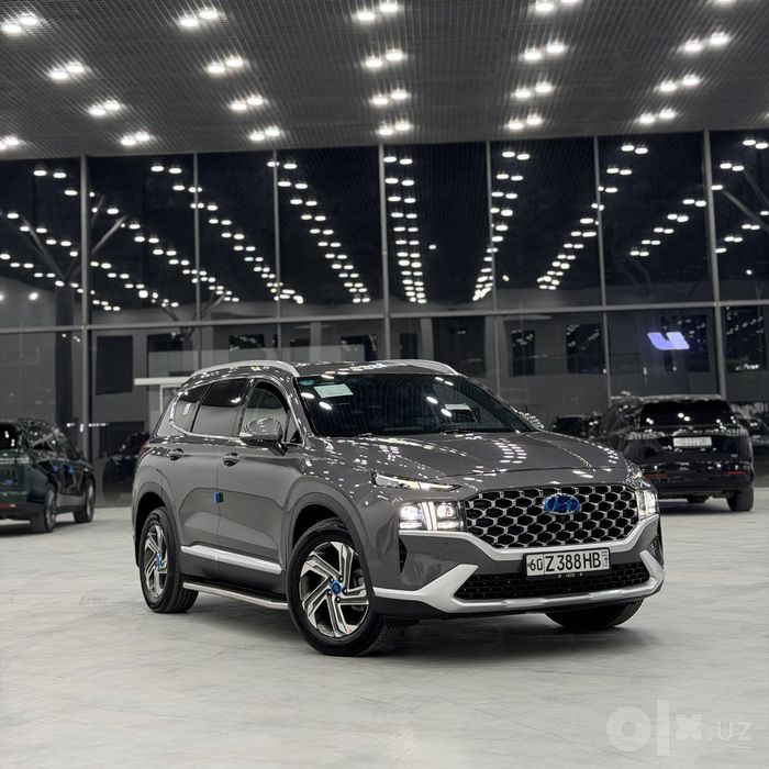 Hyundai santafe propan