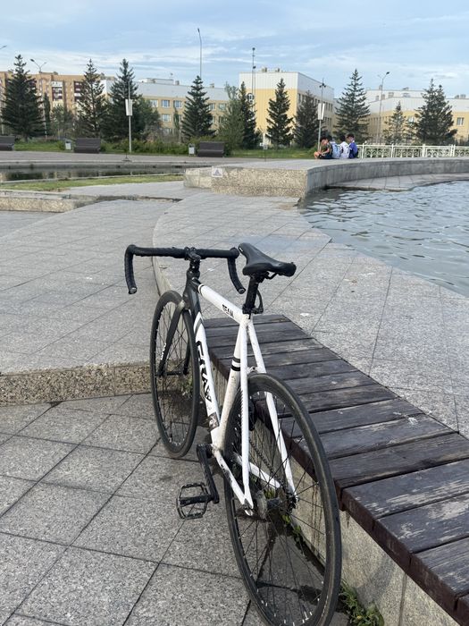 fixed-gear , gray team ,