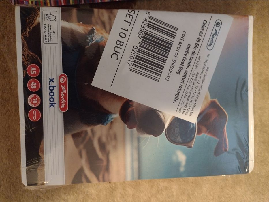 Rechizite școlare Herlitz, Bic