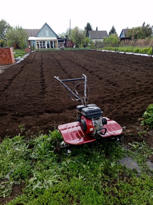 Вспашка земли, огорода мотоблоком