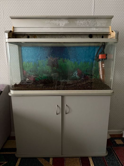 Аквариум,большой.