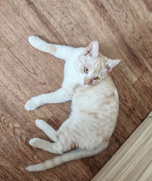 Мальчик 7 месяцев