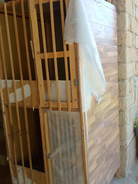 Kataklar sotiladi50000