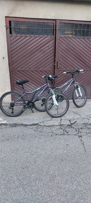 Biciclete cu roți pe 24