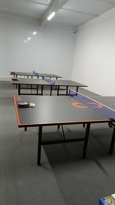 Стол теннис stol tennis Ping Pong