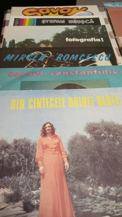 Discuri de vinil