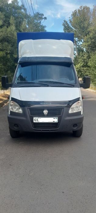 Gazel fermer sotiladi