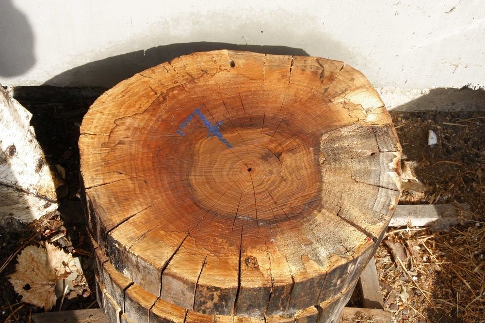 ОРЕХ шайби 50 см сухи плот масичка рустик шайба СОФИЯ