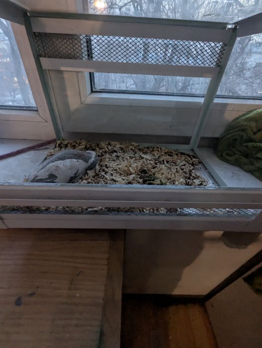 Продам террариум