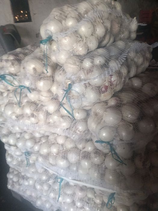 Ceapa alba de vanzare