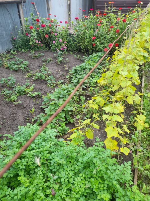 Коттедж 2-хэтажный.