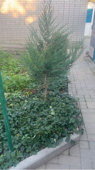 Продам или обменяю дом