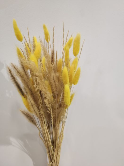 Осенний декор (плед, наволочки, сухоцветы) 

Продает