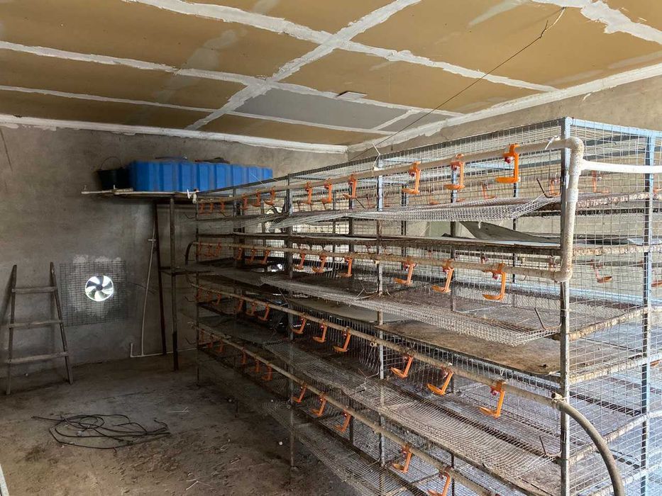 Клетки Для Перепёлки. Bedana Qafas.