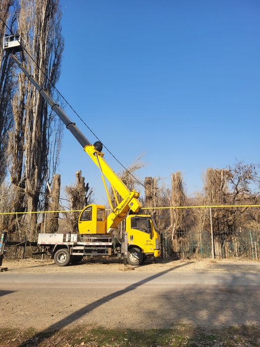 Спил деревьев агаш кесемиз