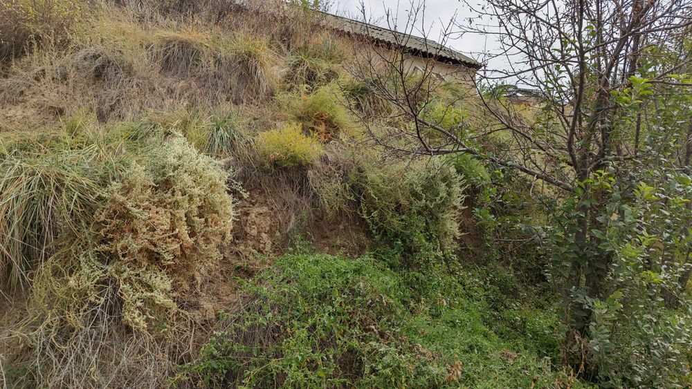 Жилая дача в Алмалыбаке (КИЗ)