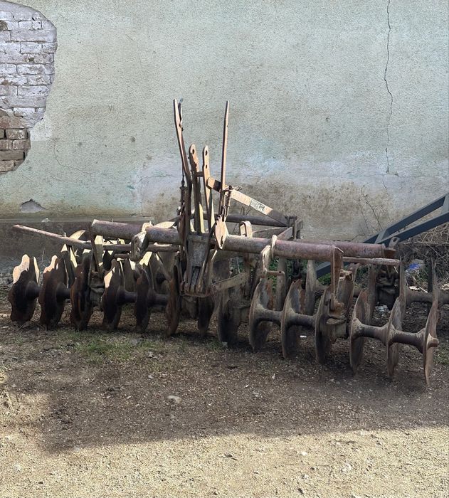 Disc si plug sarbesc