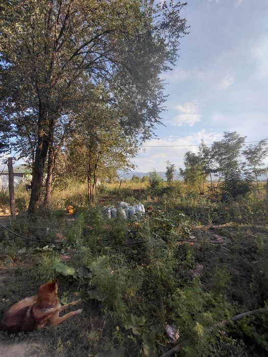 20 соток место на аренду