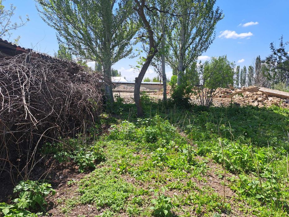Продаётся дом в селе Гродеково.
