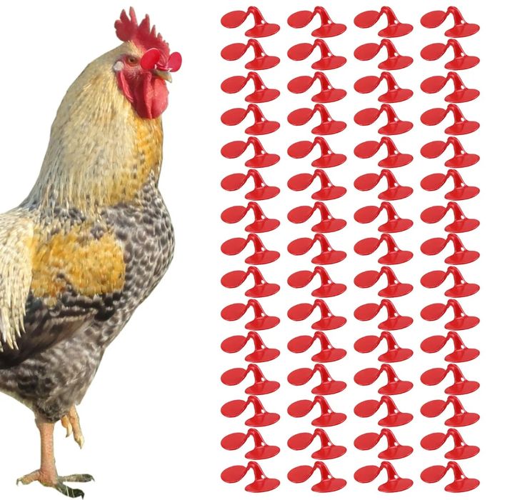 Товук ва хурозлар учун кузойнак. родаются Очки для петухов и кур со с