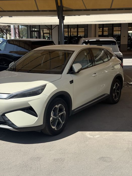 Byd young plus  Ev 445km
