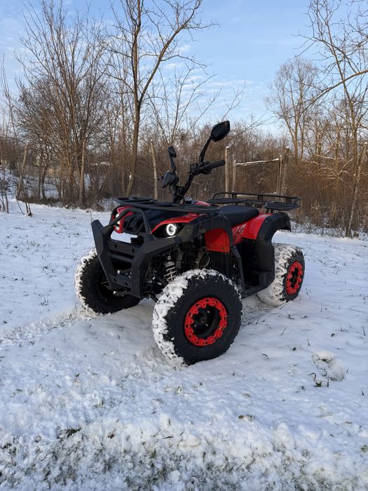 Vand Atv 200cc din 2025