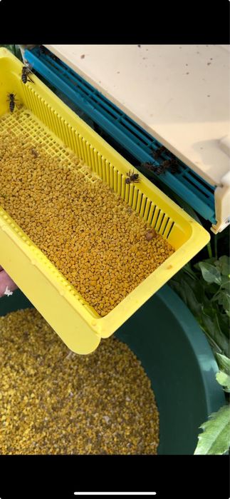 Vând  POLEN păducel 2025 crud