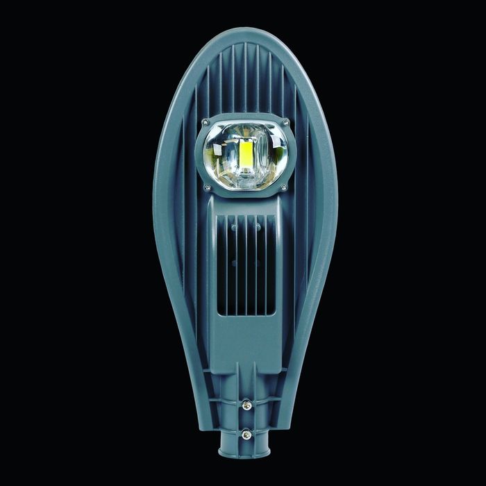 АҚШ-тағы жалаңаш кеуделер карнавалы