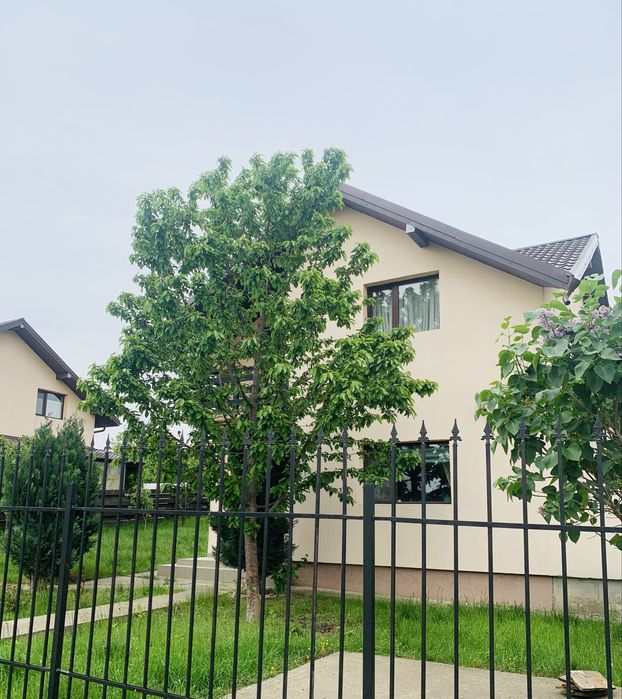 Casă modernă Horpaz | 500 mp teren | 3 dormitoare | Gata de mutare