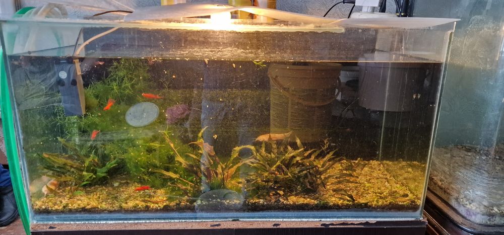 Распродажа аквариумы разные