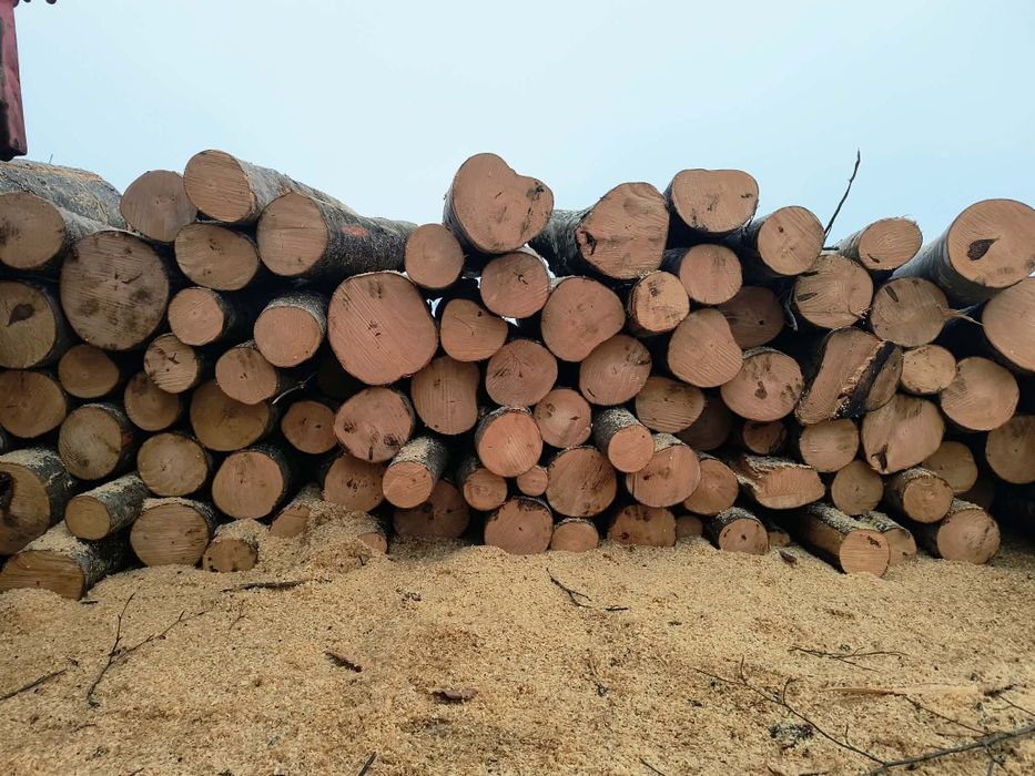 Vand lemne de foc esenta tare transport la  domiciliu