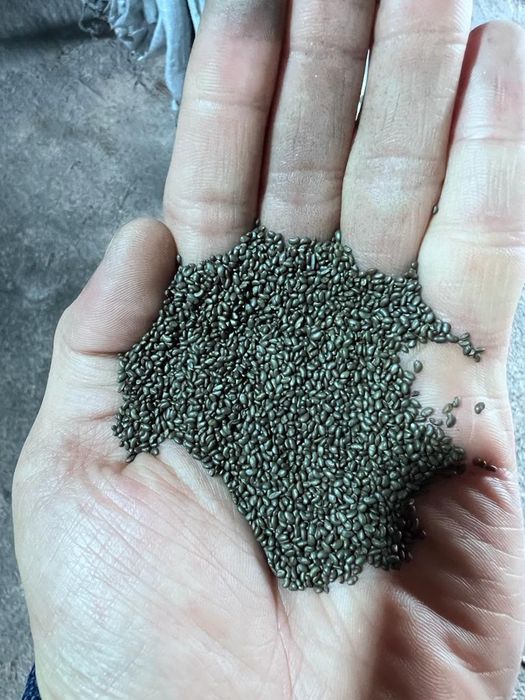 Продам семена луцерны сорт Байшешек