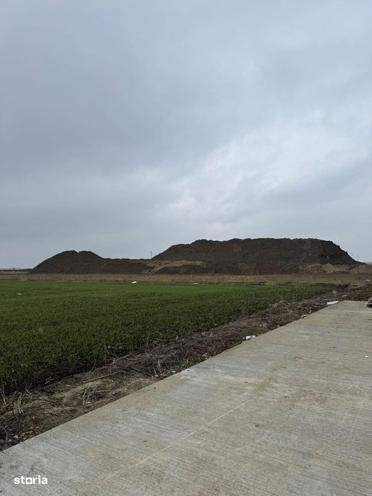 Teren intravilan Calea Sagului – 10.000 mp